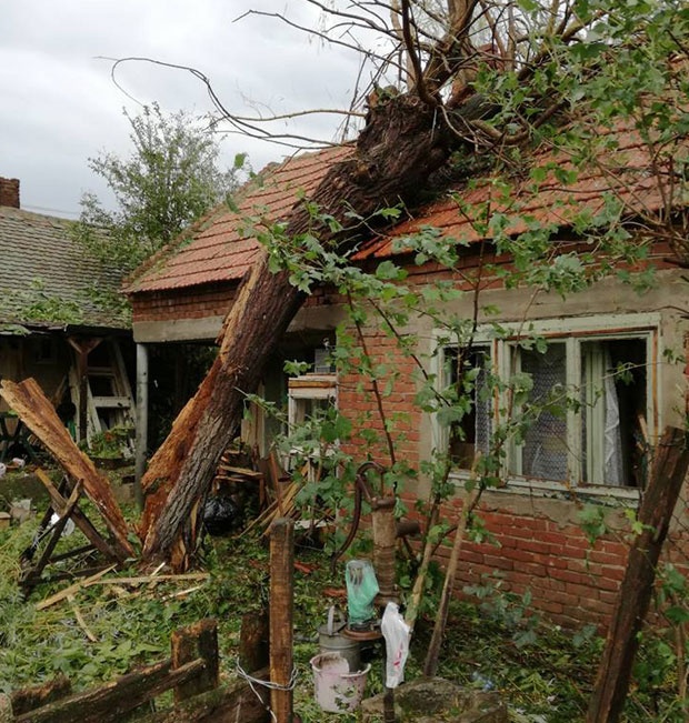 Невреме у лозничким селима уништило усеве и воћњаке